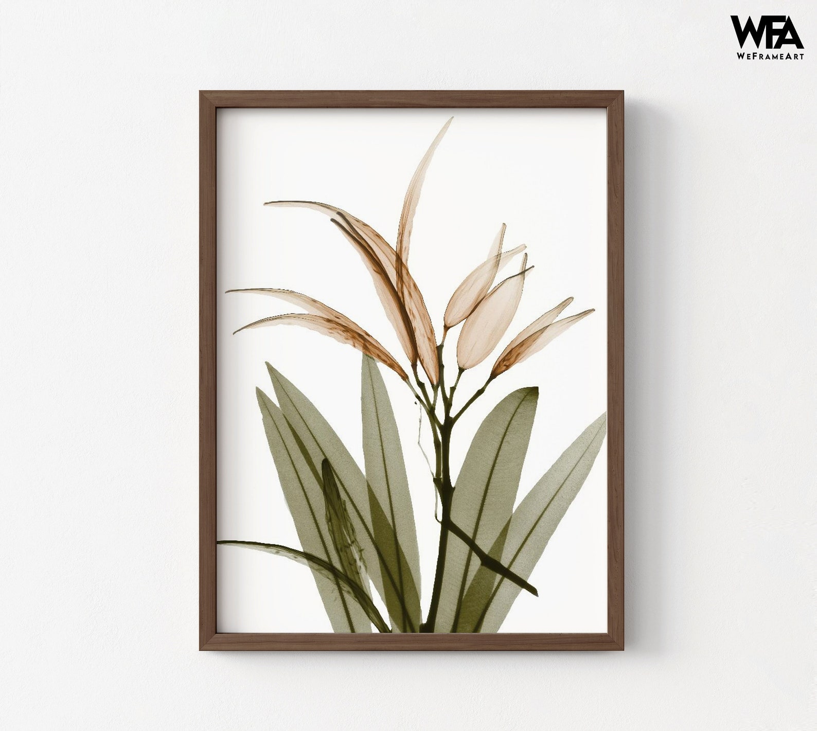 Xray Floral Wall Art Print Framed Floral Wall Decor Print Etsy