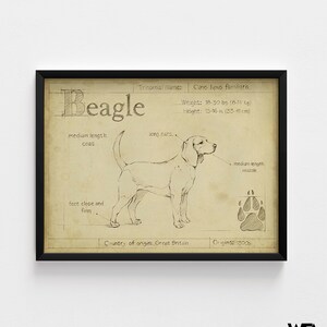 Antique Beagle ASH by Ethan Harper, Beagle Mom Decor, Good Doggo Vet Offce Wall Art, Dog Groomer Wall Decor Idea Poster Print image 4