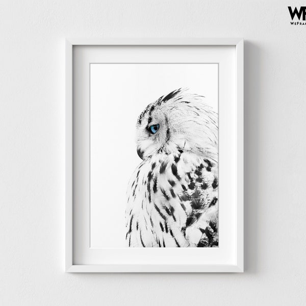 White Owl Print, Snowy Owl Photography, Framed Bird Photography, Black and White Bird Photo, Oversized Wall Art, Winter Bird Photography