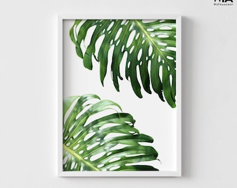 Swiss Cheese Plant Photography Print, Framed Monstera Deliciosa Photo Print, Tropical Plants Wall Art, Framed Wall Art, Oversized Wall Art