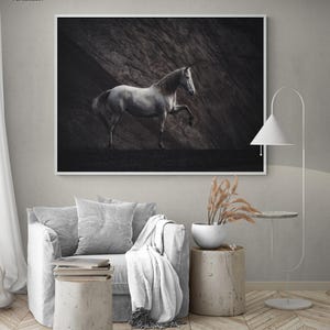 Solitaire by Heike Willers, Black and White Horse Art, Framed White Horse Photography Print, Equestrian Wall Decor, Cowboy Wall Art