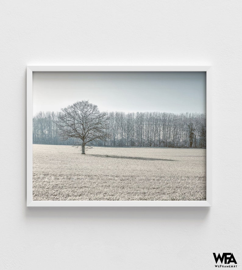 Framed Landscape Photography Wall Art Tree Wall Art Forest Etsy