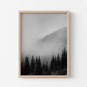 Smokey Mountains Print, Black and White Forest Photography, Framed Wall Art image 6