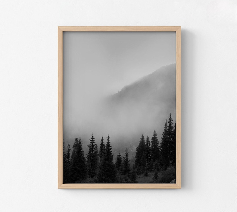 Smokey Mountains Print, Black and White Forest Photography, Framed Wall Art image 6