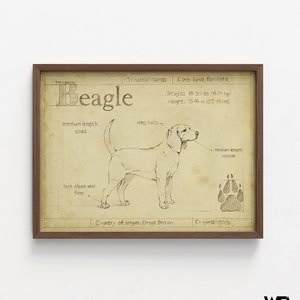 Antique Beagle ASH by Ethan Harper, Beagle Mom Decor, Good Doggo Vet Offce Wall Art, Dog Groomer Wall Decor Idea Poster Print image 9