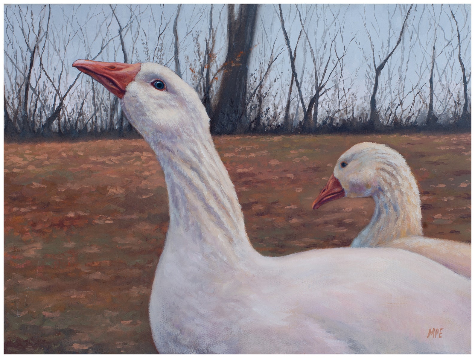 White embden geese goose realistic fine art oil painting farm  etsy