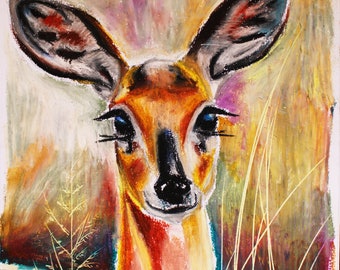 Steenbok Portrait, Original African Wildlife, Nature Decor, Oil Pastel Artwork, Animal Art Gift, Home Wall Decor 9" X 12"