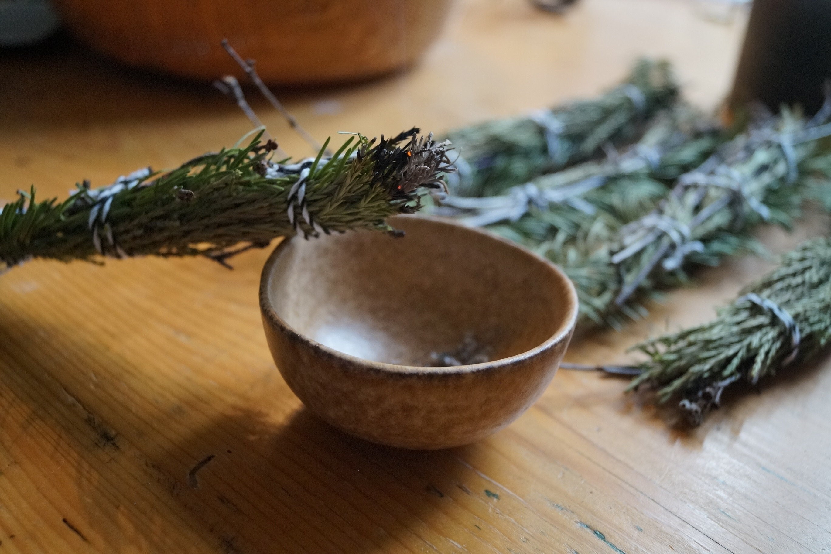 Herbal medicine dried plants smudging herbs cleansing Etsy