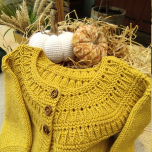 May include: A yellow knitted cardigan with a button closure and a crocheted collar. The cardigan is displayed on a bed of straw with two small pumpkins.