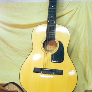 Vtg Synsonics FG908N Acoustic Guitar w/Soft Carry Case