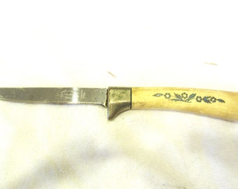 Vtg Corning Handle Lifetime Cutlery Stainless Steel Knife