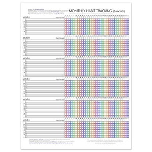 Maandposter met gewoonteschema (regenbooggroen) - Bereik je doelen sneller, houd jezelf verantwoordelijk - Blijf op schema - goede voornemens