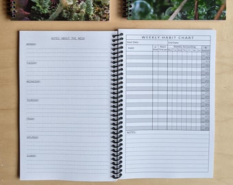 Habit Tracker / Goal Tracker - Track your habits & get on track once and for all! New Years Resolutions and everyday (Set up for success!).