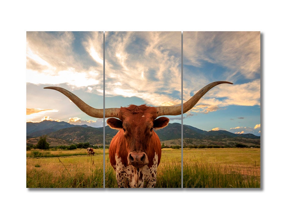 Texas Longhorn Canvas Print Longhorn Wall Art Longhorn Bull Etsy UK