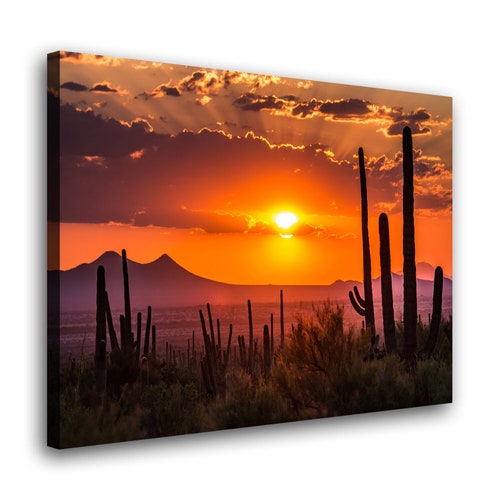 Sonoran Desert Wall Art Arizona Sunset Canvas Print. Cactus - Etsy