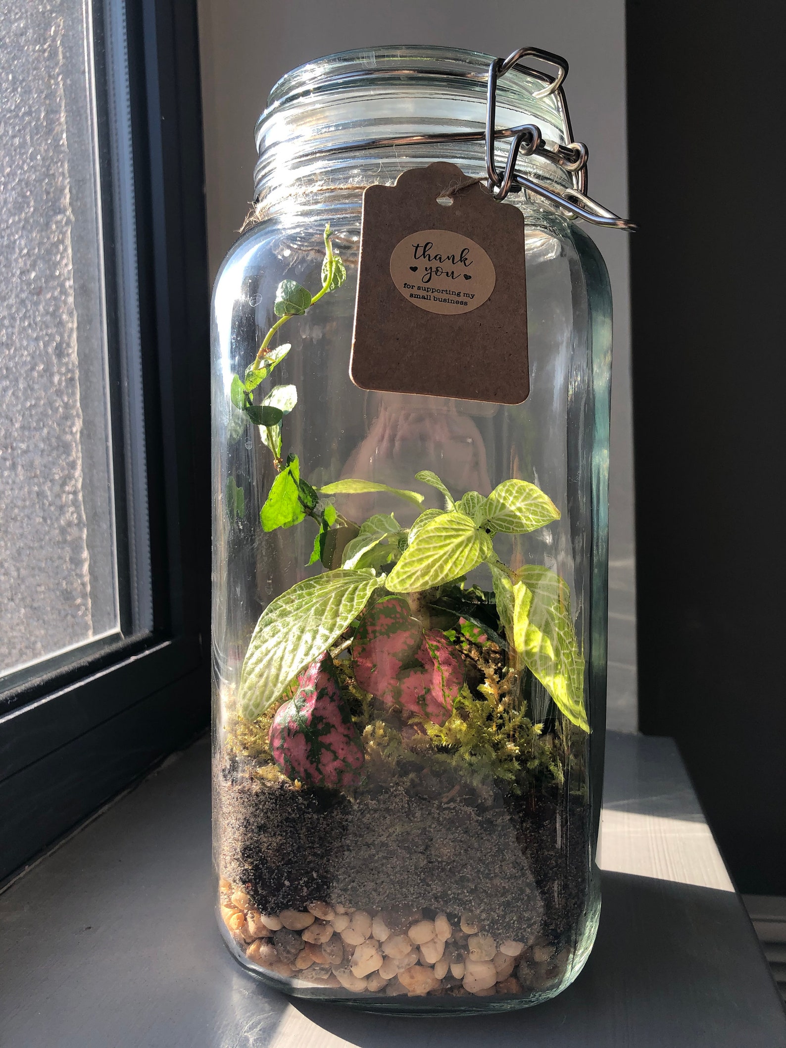 Large Closed Terrarium Handmade Ecosystem Mini Earths Etsy large-closed-terrarium-handmade-ecosystem-mini-earths-etsy