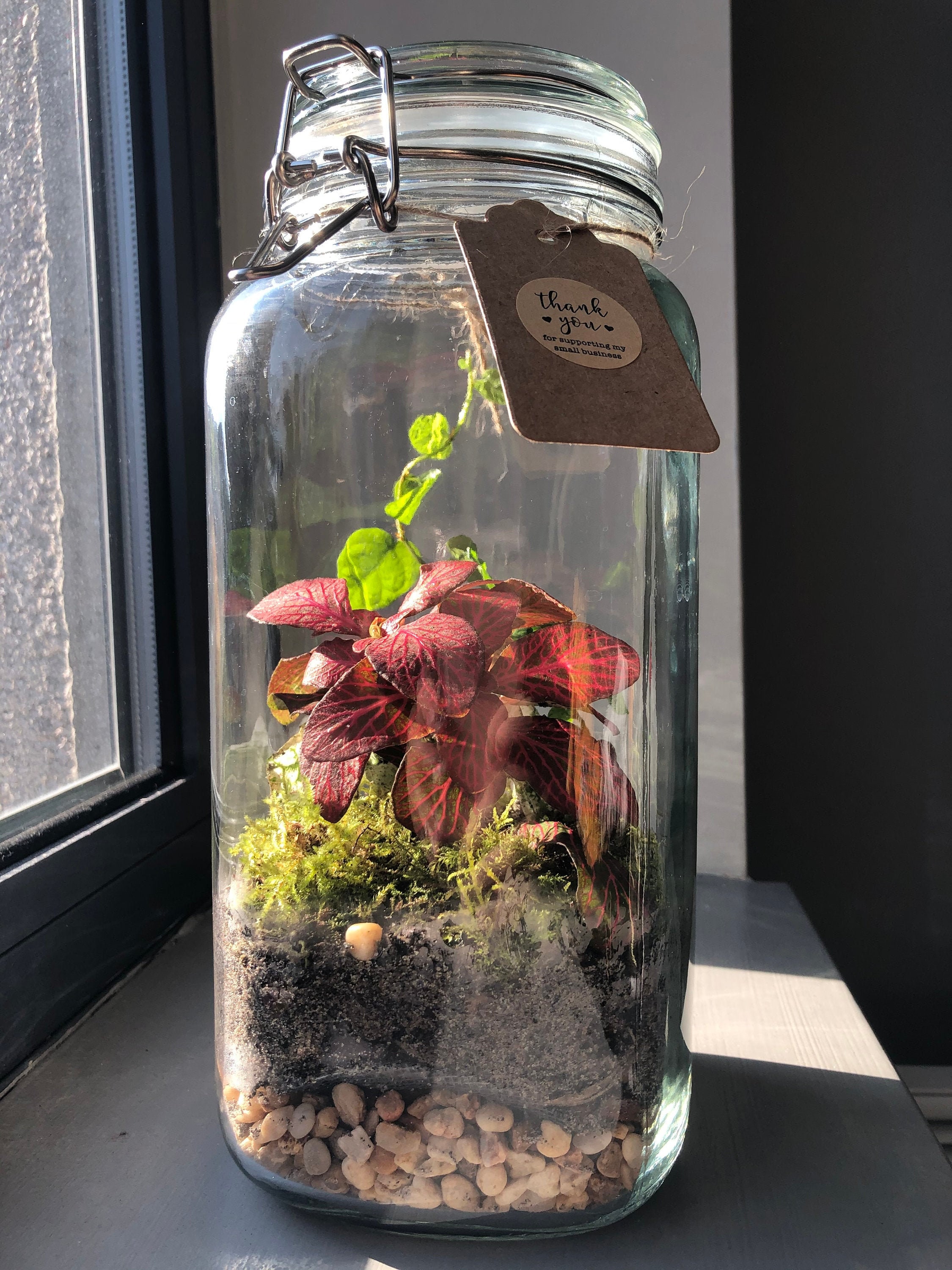 Large Closed Terrarium Handmade Ecosystem Mini Earths Etsy UK