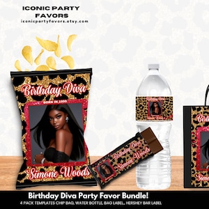 Cheetah Print Chip Bag Bundle/ Birthday Party Chip Bags/ Custom Birthday Diva Party Favor Templates