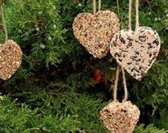 Save the birds … suet seed cakes