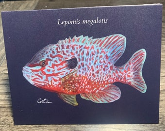 Longear Sunfish Greeting Card