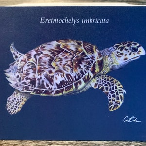 Kartka z pozdrowieniami z żółwiem szylkretowym
