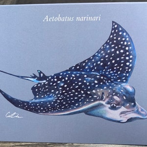 Spotted Eagle Ray Greeting Card
