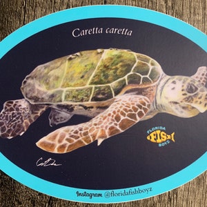 May include: A sticker featuring a detailed illustration of a Loggerhead sea turtle, with the scientific name "Caretta caretta" printed above the turtle. The sticker has a blue oval border and a logo for "Florida Fish Boyz" in the lower right corner. The text "Instagram @floridafishboyz" is printed at the bottom of the sticker.