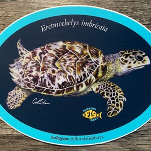 Op de afbeelding: Een blauwe en witte ovale sticker met een tekening van een karetschildpad op een donkerblauwe achtergrond. De schildpad is bruin en geel met een gedetailleerd schildpatroon. De sticker heeft de tekst "Eretmochelys imbricata" en "Florida Fish Boyz" met een vislogo. De tekst "Instagram @floridafishboyz" staat onderaan de sticker.
