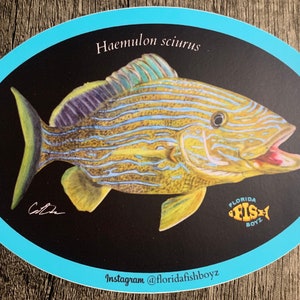 Puede incluir: Una pegatina con una ilustración colorida de un pez Haemulon sciurus, también conocido como ronco rayado, sobre un fondo negro. La pegatina tiene forma ovalada con un borde azul claro. El texto "Florida Fish Boyz" está en la esquina inferior derecha de la pegatina.