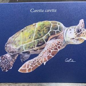 Loggerhead Sea Turtle Greeting Card
