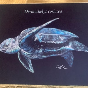 Tarjeta de felicitación de tortuga laúd