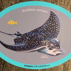 Spotted Eagle Ray (Aetobatus narinari) Sticker