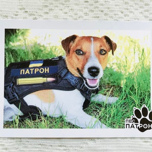 Ulotka z wizerunkiem „Saper Dog”, Patron saperów trałowych 2022