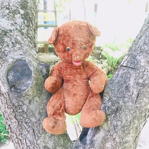 May include: A brown teddy bear with button eyes sits in a tree trunk. The bear has a wide smile and is sitting upright with its arms and legs spread out.