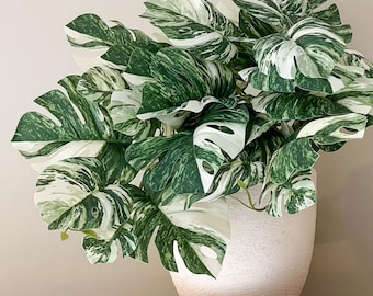 Planta artificial de Monstera Variegata en maceta, planta tropical realista, decoración de interiores, decoración de estante estilo boho, regalo