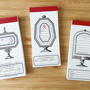 May include: Three white notepad memo pads with red top edges. Each pad features a vintage-style illustration of a decorative stand with a blank label. The labels have the text "Specimen Catalogue" and "Plant Specimen" with fields for "Name", "Number", "Date", and "From".