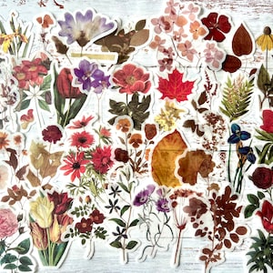Vintage Flower Washi Stickers: Scrapbook Ephemera, 36 Piece Set