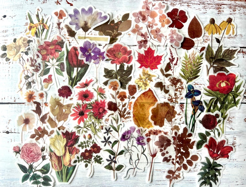36 Stück Blumen Washi Aufkleber, Vintage Blumen Aufkleber, Scrapbooking Ephemera, Junk Journal, Planer Aufkleber Bild 1