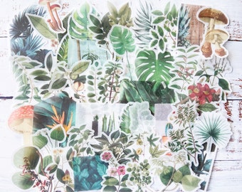 Botanical Washi Stickers: Mushroom & Plant Ephemera (40 Pieces)
