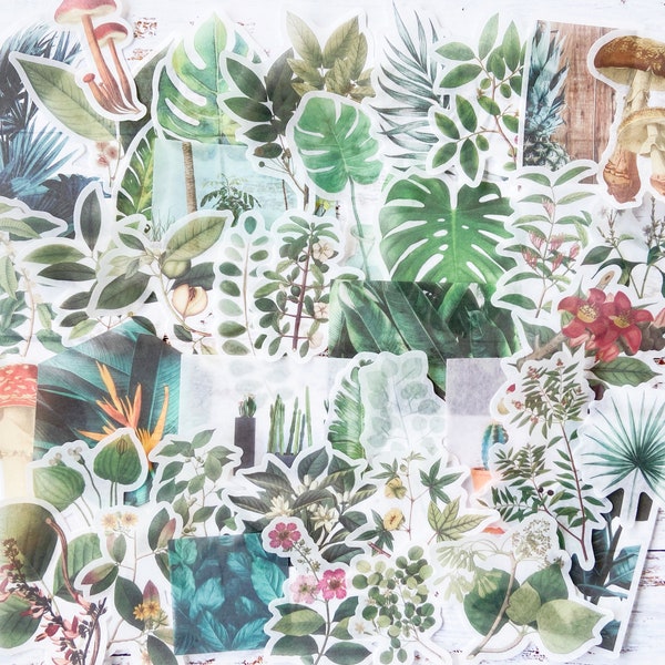 40 Pieces Botanical and Mushroom Washi Stickers, Plant Stickers, Scrapbooking Ephemera, Junk Journal, Planner Stickers