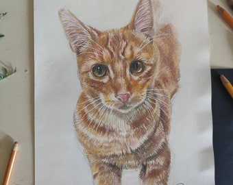 Custom colour pet portrait | A4 A3 Coloured pencil | Hand drawn animal portraits | Dog cat drawing