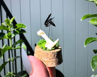 Minicúpula Black Digger Wasp.
