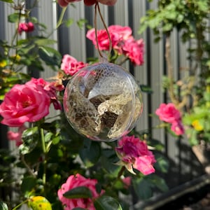 May include: A clear glass bauble containing honeycomb. The bauble is suspended from a string and surrounded by pink flowers.