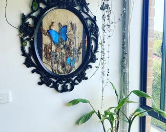 A Piece Reimagined: Vintage Flora and Brilliant Morpho Entomology