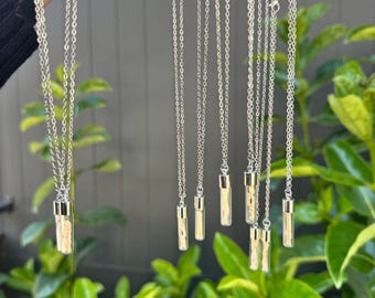 Collar con frasco de hueso de Fox Kit