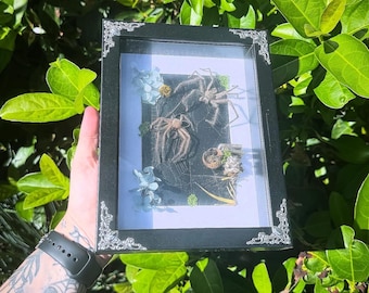 Lady Huntsman’s Den - Framed