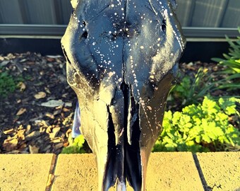 Black & rose gold splatter cow skull (Bos taurus)