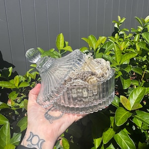 Eastern Coastal Python (Morelia spilota mcdowelli) Shed in beautiful glass jar.