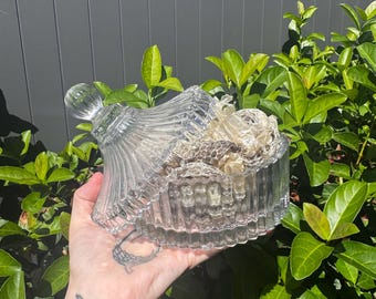 Eastern Coastal Python (Morelia spilota mcdowelli) Shed in beautiful glass jar.