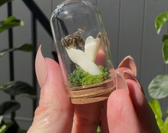 Mini cúpula de dientes de abeja